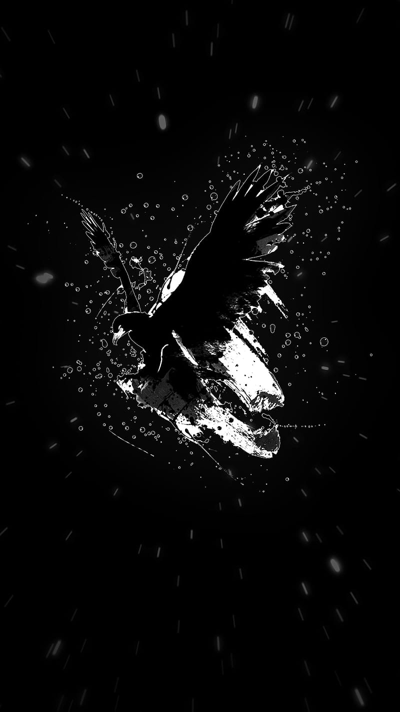 Black eagle, birds, black, black background, black , eagle, white, wings, HD phone wallpaper