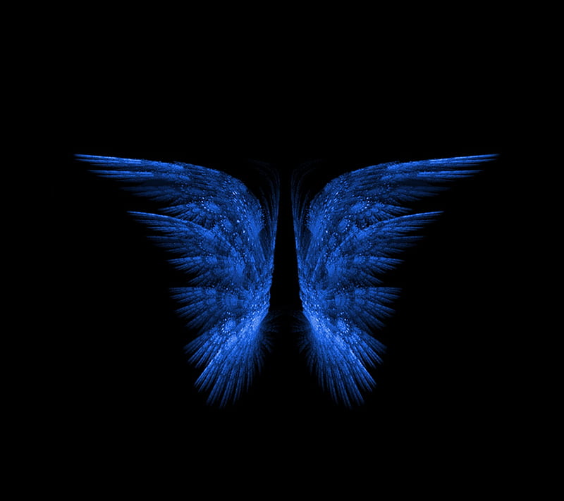 Blue Wings, butterfly, HD wallpaper