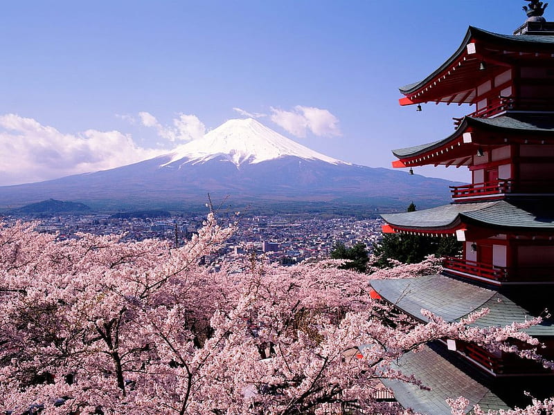 Japan - Fuji with Mount Fujisan, shizuoka, fudschijama, japan, mount fuji, volcano, fuji, cherry blossoms, mount fujisan, HD wallpaper
