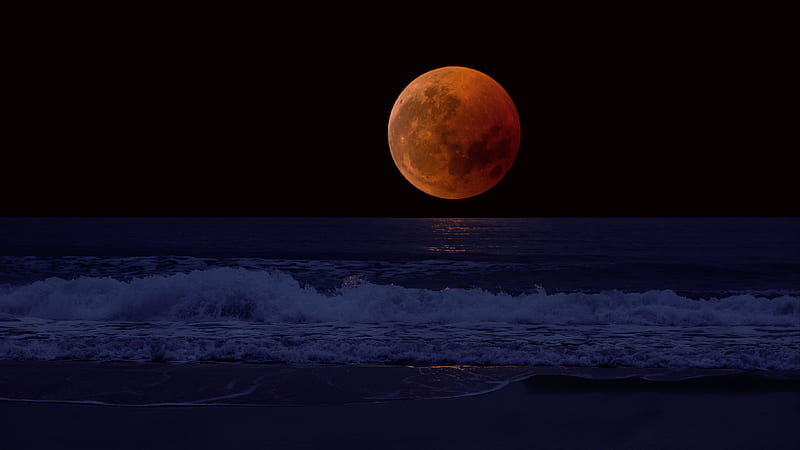 Orange Moon near the Horizon, HD wallpaper
