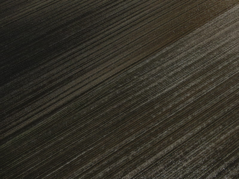 stripes, surface, sparkles, HD wallpaper
