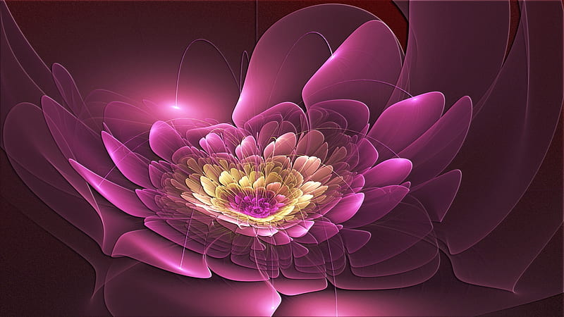 Lovely Lotus, 3d, lotus, flower, nature, abstract, HD wallpaper | Peakpx