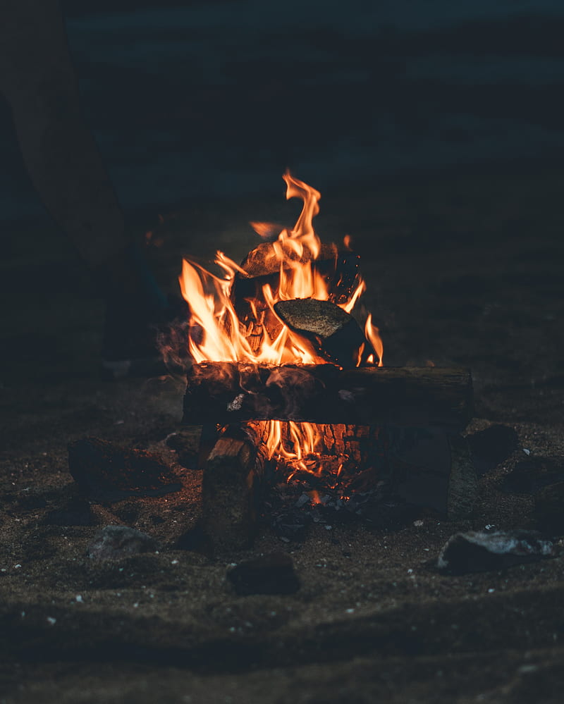 bonfire, fire, camping, firewood, night, HD phone wallpaper