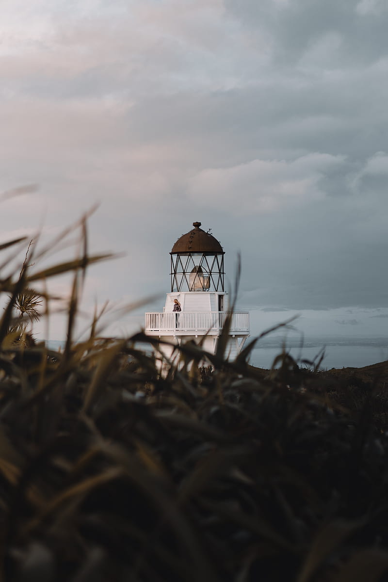 lighthouse, grasses, building, coast, HD phone wallpaper