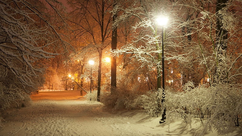 Winter in street, lamp, lanterns, romantic, midnight, lamppost, winter, tree, road, street, light, night, HD wallpaper