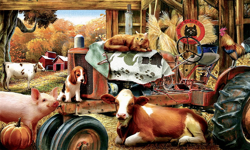 Barnhouse Meeting, cozy, tractor, Cow, Farm, Autumn, barn, animals, HD  wallpaper | Peakpx