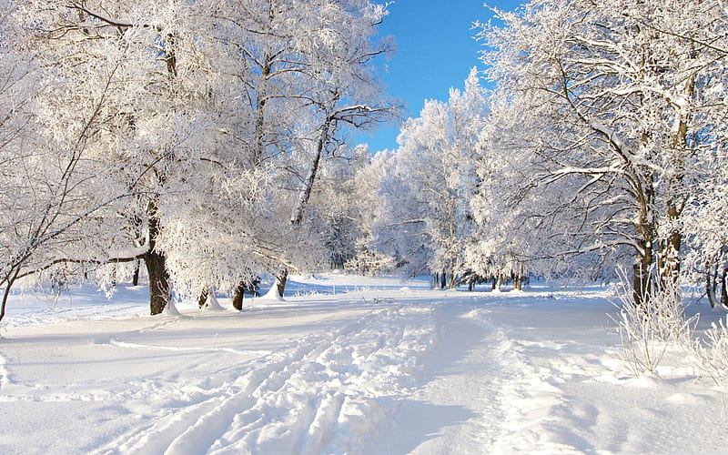 snow tracks-Winter landscape, HD wallpaper