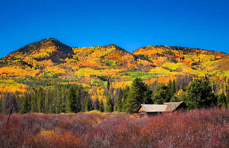 Steamboat Lake Park, Colorado, hills, forest, leaves, colors, cabin, trees, sky, HD wallpaper