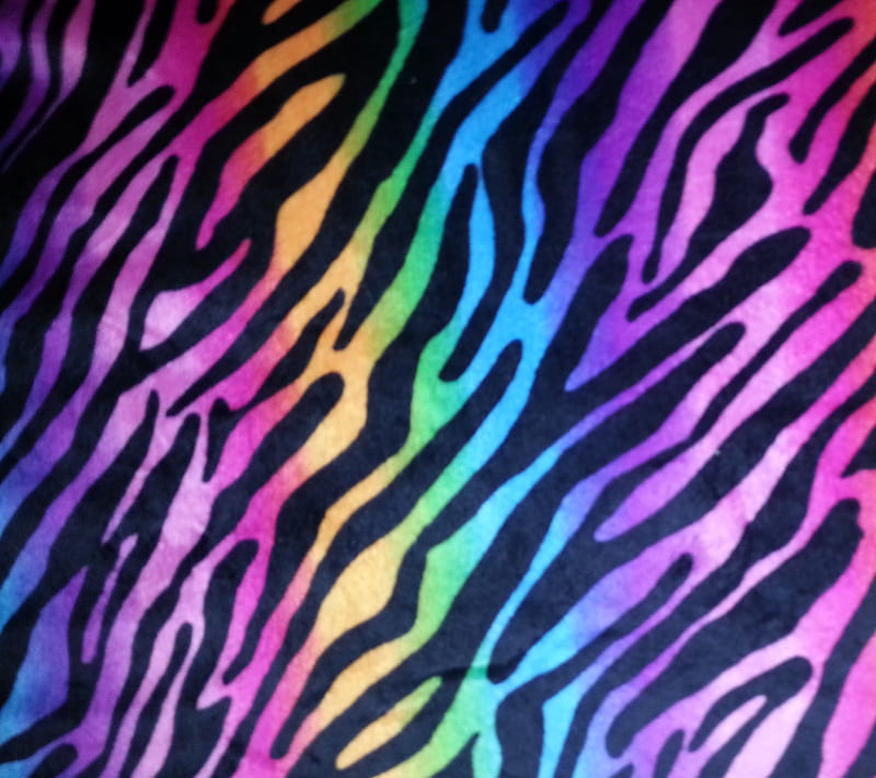 Rainbow Zebra, colorful, rainbow, zebra, HD wallpaper