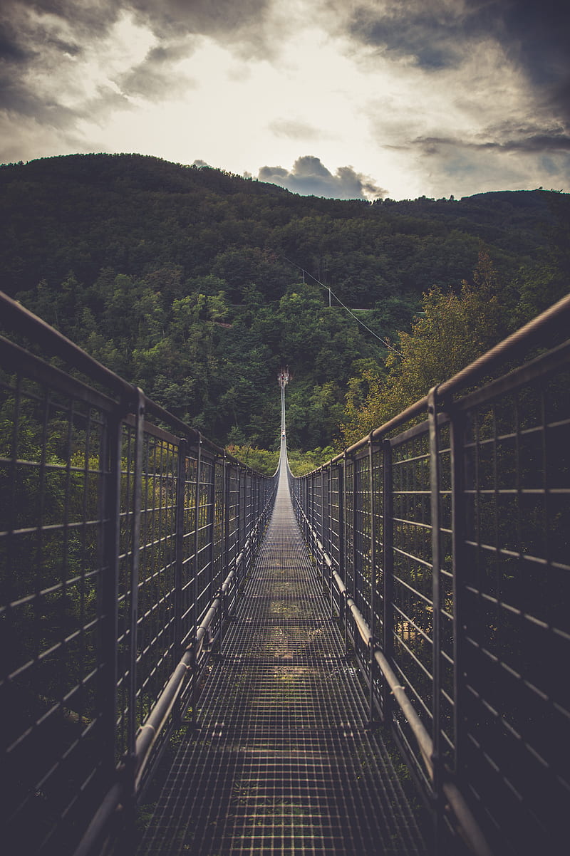 bridge, suspension bridge, forest, direction, trees, clouds, HD phone wallpaper