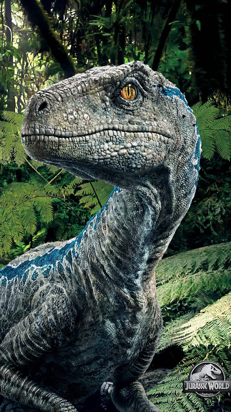 JurassicWorld Blue, velociraptor, dino, dinosaur, jurassicpark, reptile, HD phone  wallpaper | Peakpx