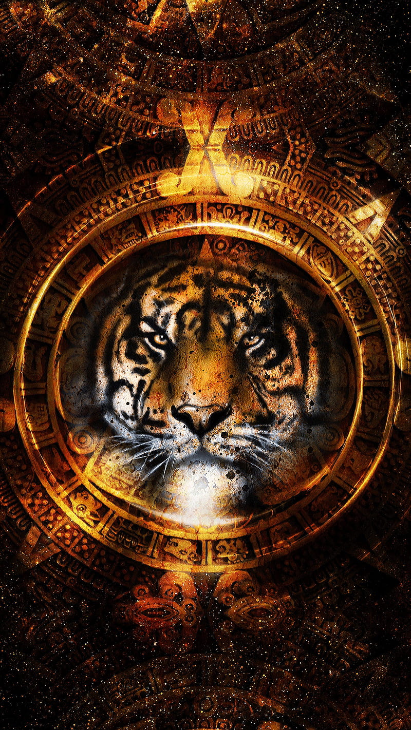HD gold tiger wallpapers | Peakpx