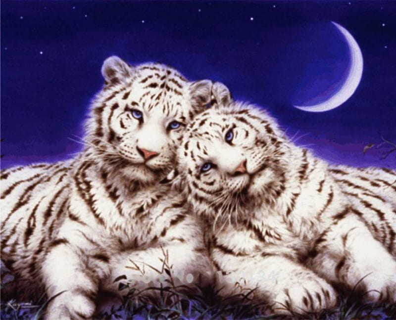 White Tigers, moon, painting, cubs, artwork, night, HD wallpaper
