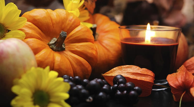 Autumn, apple, candle, Fall, gourds, fruit, grapes, still life, Thanksgiving, pumpkin, flowers, pumpkins, HD wallpaper