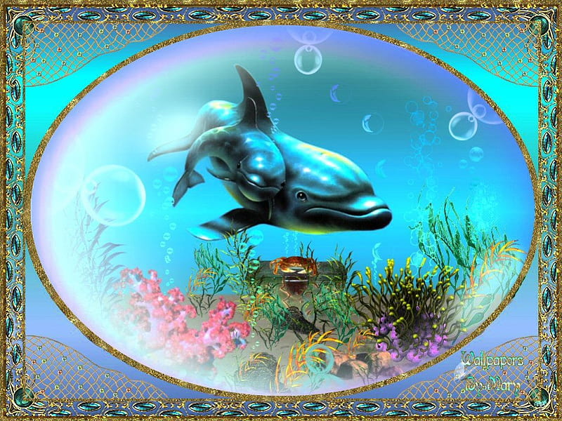 Marine Blues, oceans, seas, dolphins, fish, marinelife, HD wallpaper