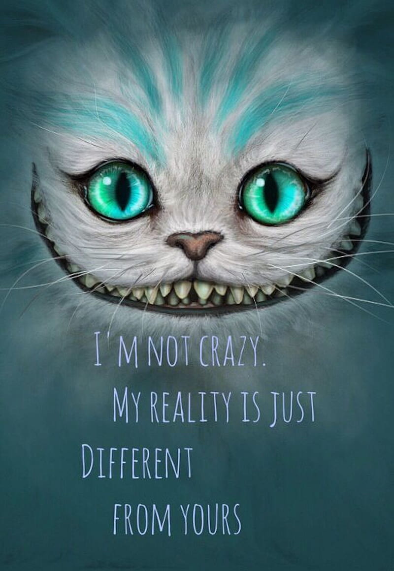 Crazy Cat, face, sayings, HD phone wallpaper