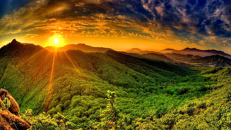 Mountain With Dense Green Forest, mountain, forest, sun, green, nature, sunrise, clouds, sky, HD wallpaper