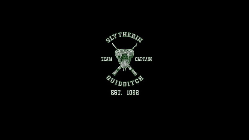 Slytherin Team Captain Quidditch Slytherin, HD wallpaper