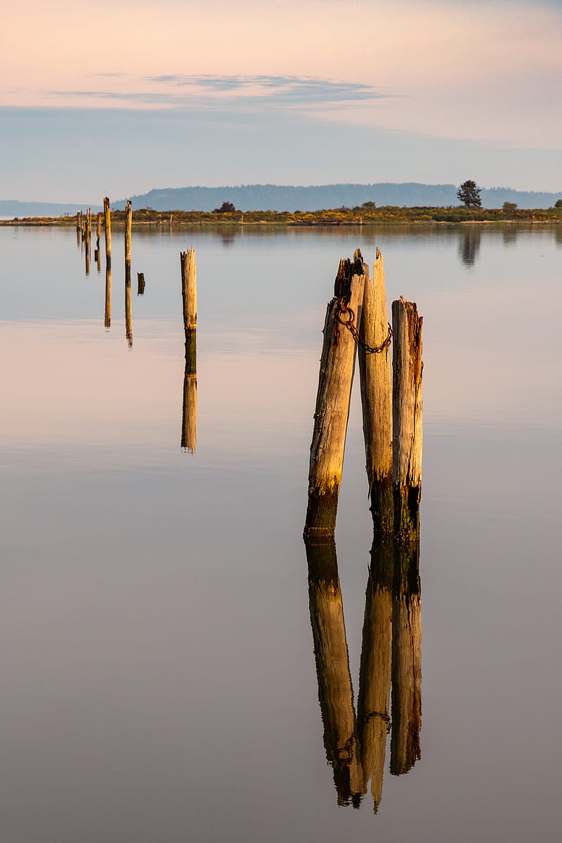 pilings, wood, river, reflection, HD phone wallpaper