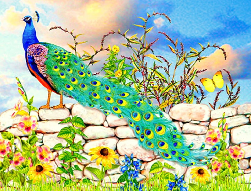 ✬Proud Peacock✬, paintings animals, peacock, attractions in dreams, bonito, creativer pre-made, paintings, bright, flowers, butterfly designs, animals, lovely, colors, love four seasons, birds, butterflies, gardens, summer, HD wallpaper
