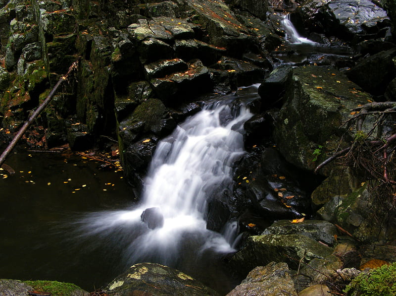 A Pair of Little Waterfalls, forest, rocks, waterfall, nature, adirondack mtns, HD wallpaper
