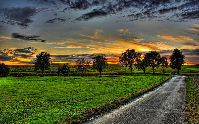 AFTER THE STORM, trees, sky, clouds, countryside, straight road, pathway, sunsets, dark, field, HD wallpaper