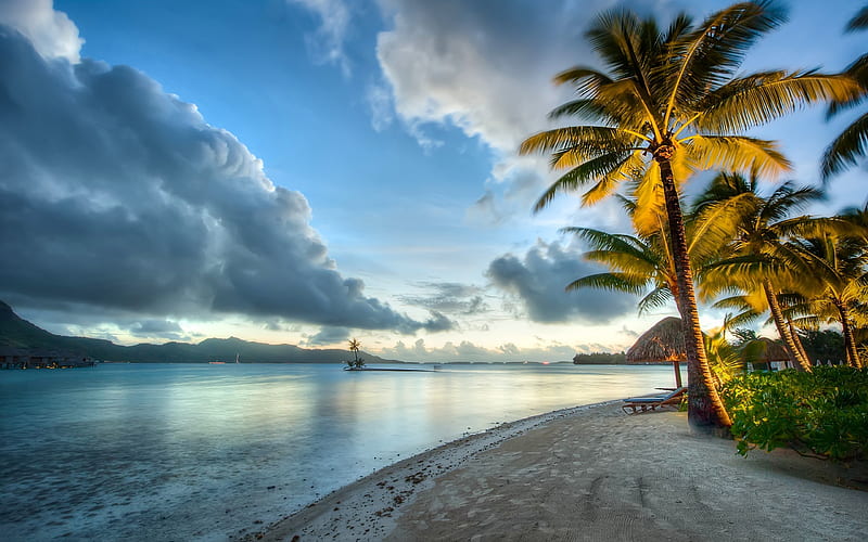 Bora Bora, ocean, coast, tropics, French Polynesia, Islands of the Society, HD wallpaper