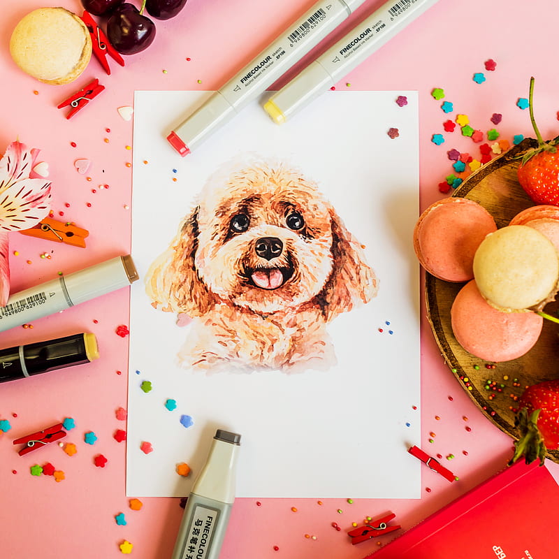 drawing, dog, confetti, HD phone wallpaper