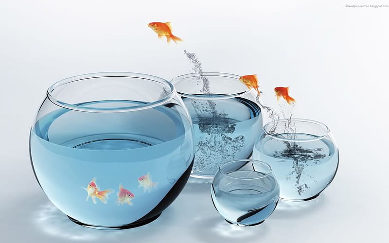 JUMPERS, water, gold, fish, HD wallpaper
