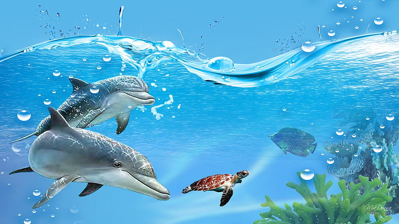 Underwater Play, fish, ocean, turtle, sea, water, dolphins, plants, bubbles, swimming, blue, HD wallpaper