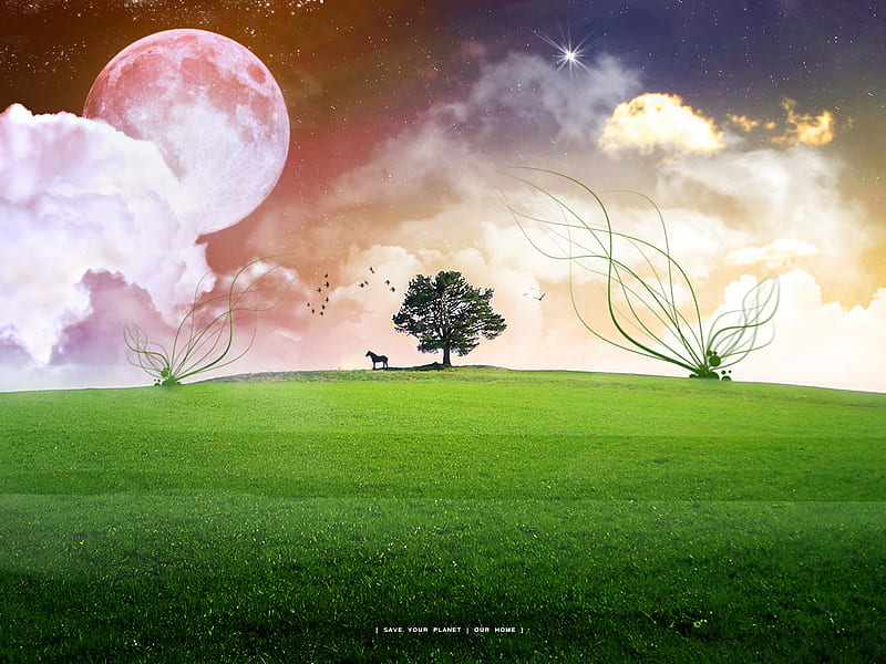 Save your world, tree, moon, cloud, grass, digital, nature, sky, HD wallpaper