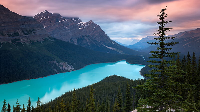 banff national park, canada, mountain, trees, blue water, Landscape, HD wallpaper