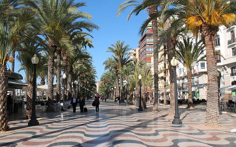 Promenade in Alicante, Spain, Spain, Alicante, palms, promenade, HD wallpaper