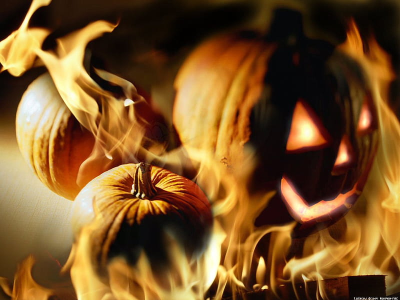 Fire pumpkin, october 31, holiday, halloween, pumpkin, HD wallpaper