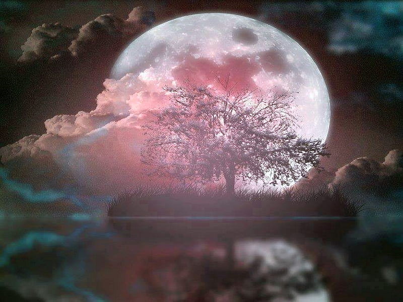 Marvelous nigh, moon, clouds, pink, night, HD wallpaper