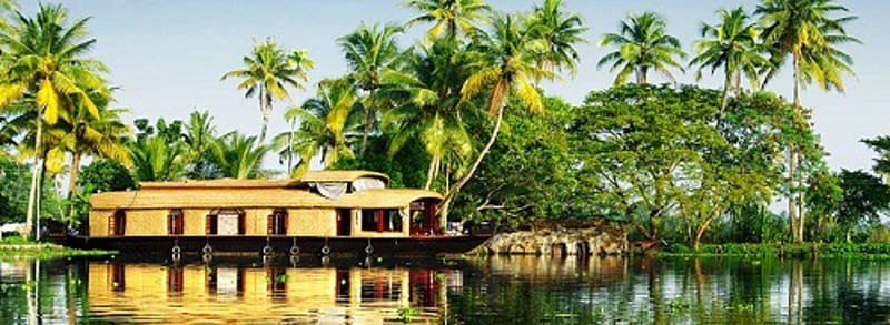 Kerala Tour Packages, South India Tour Packages, North India Tour Packages, India Nepal Tour Packages, HD wallpaper