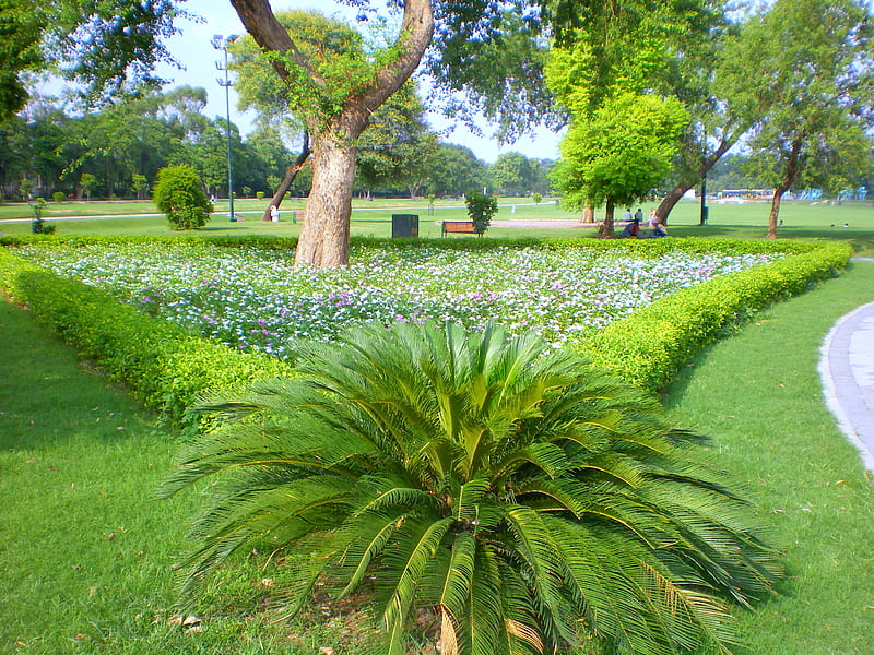 Beautiful park, flowers, nature, lahore, HD wallpaper