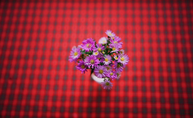 flowers, bouquet, purple, HD wallpaper
