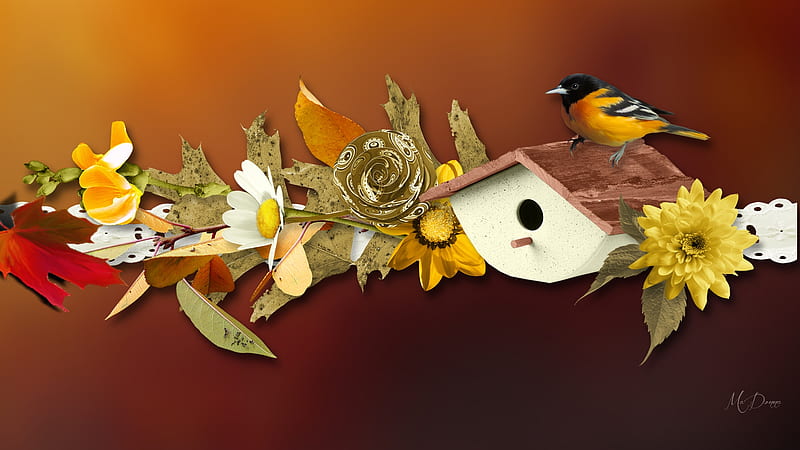 Fall Leaves & Bird, daisies, bird house, fall, autumn, leaves, bird ...