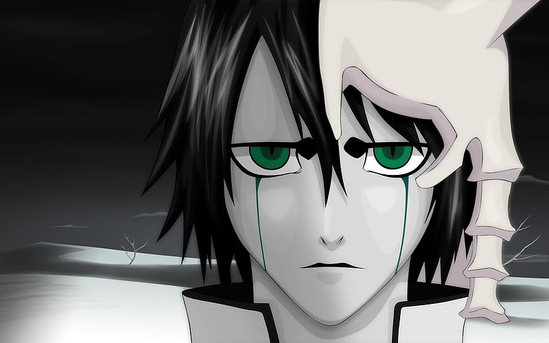 Ulquiorra Cifer, anime, splitting, Bleach, Kurosaki Ichigo, Espada -  wallpaper #63018 (2429x1326px) on