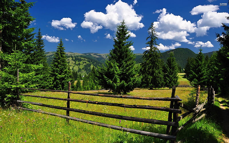 What Lies Beyond The Fence, fence, grass, mountains, nature, trees, clouds, sky, HD wallpaper