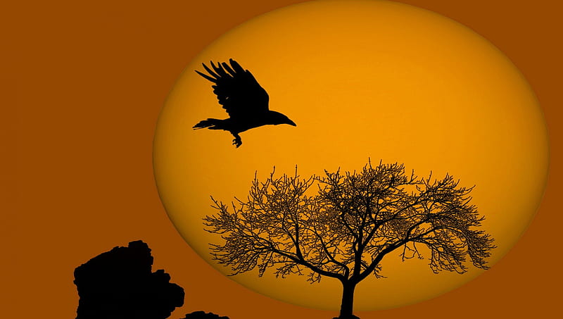 birds flying from tree silhouette