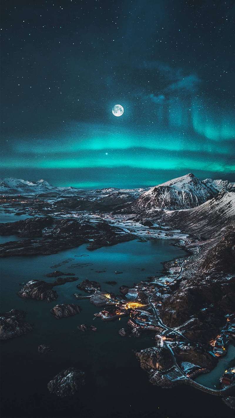 Norwegian nights, austin, bear, polar, HD phone wallpaper