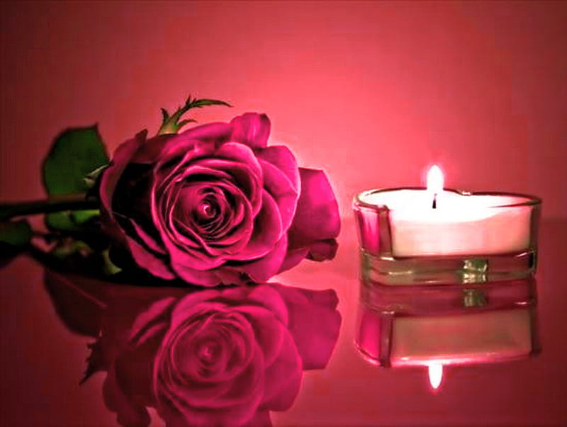 Candle glow, candle, flame, rose, flower, reflections, pink, HD wallpaper