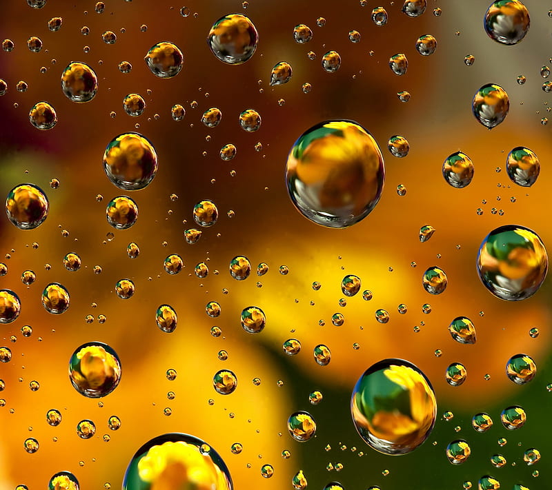 Floral Drops, bubbles, drops, floral, water, HD wallpaper