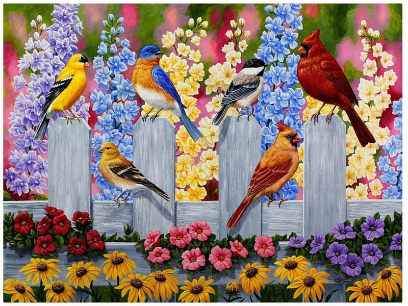SPRING GARDEN PARTY, SPRINGTIME, COLORFUL, FENCE, BIRDS, FLOWERS, HD wallpaper