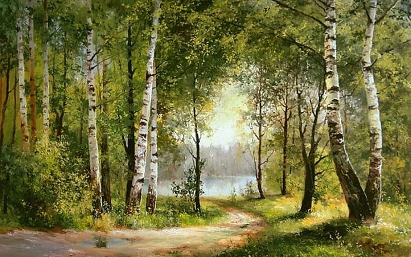 Birches, path, nature, trees, HD wallpaper