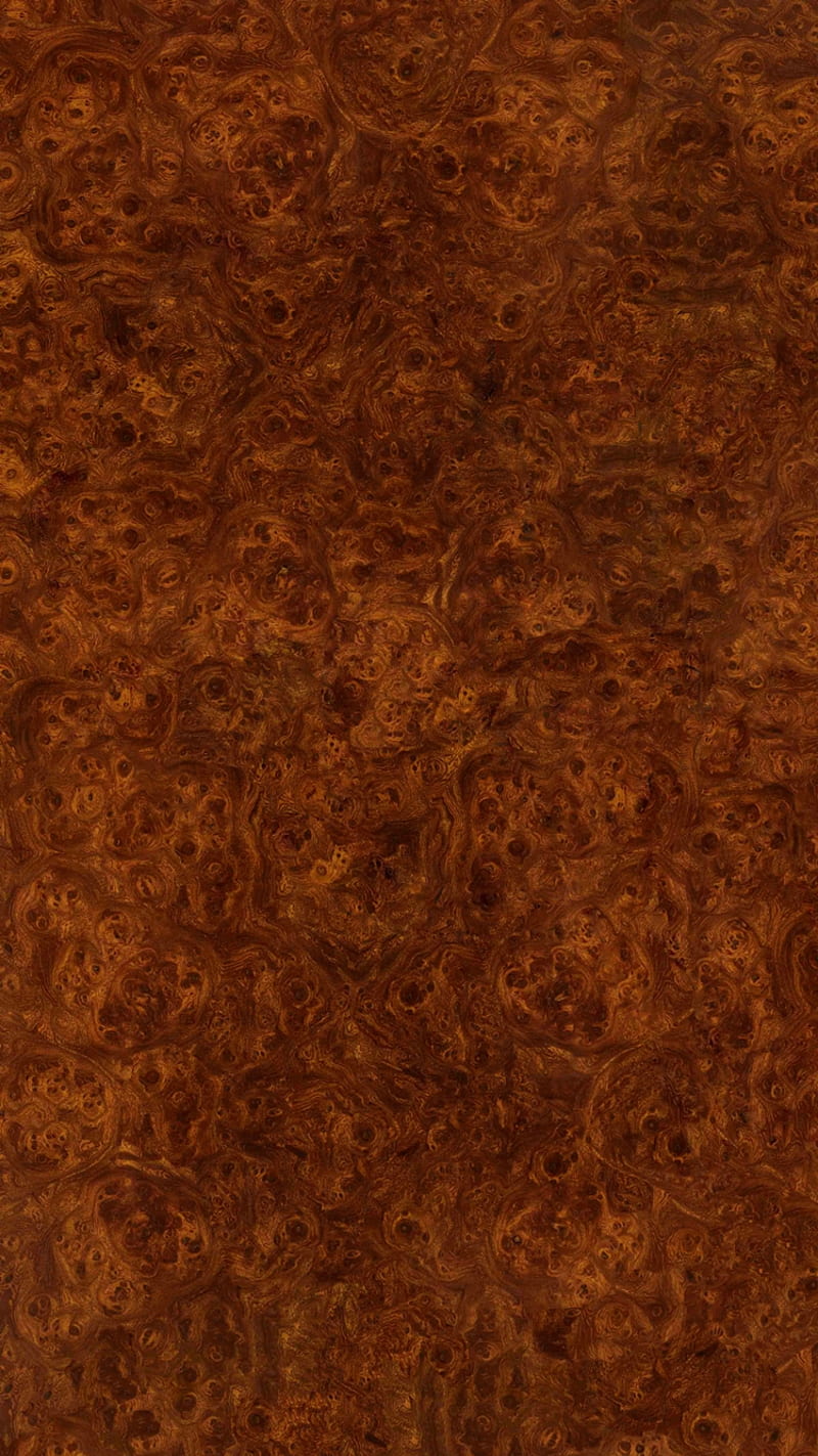 Wood Burl, pattern, texture, wooden, HD phone wallpaper