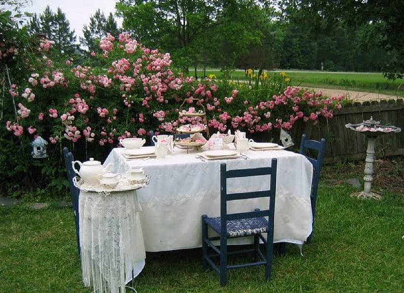 rose garden - tea party, still life, flowers, nature, rose garden, tea party, HD wallpaper
