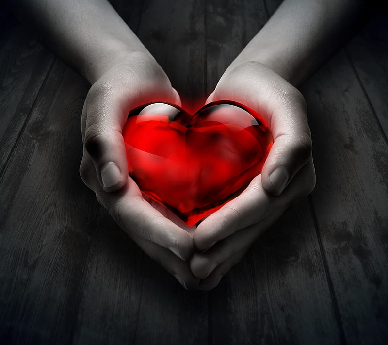 Love Heart, background, hands, heart, red love, HD wallpaper